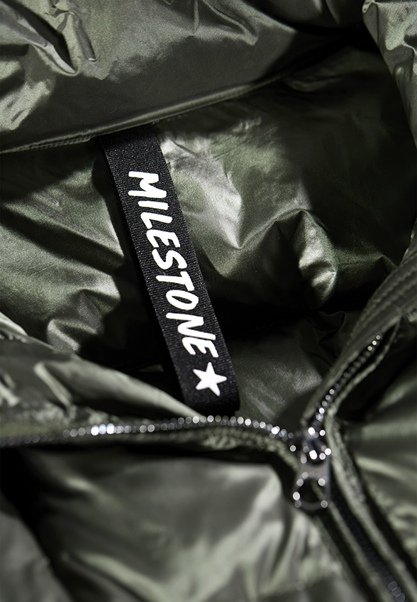 MILESTONE_233_49_33046131485 (3)