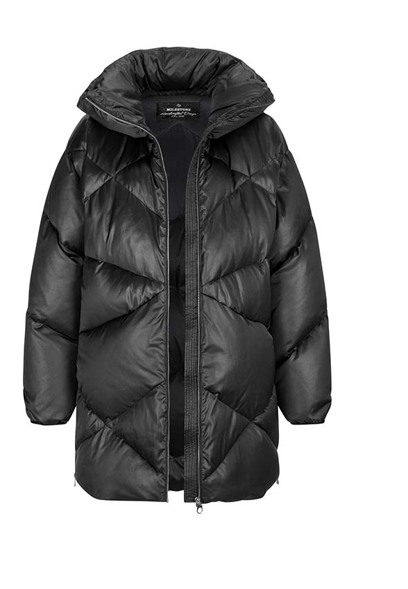 MILESTONE_233_99_33030731440 (4)