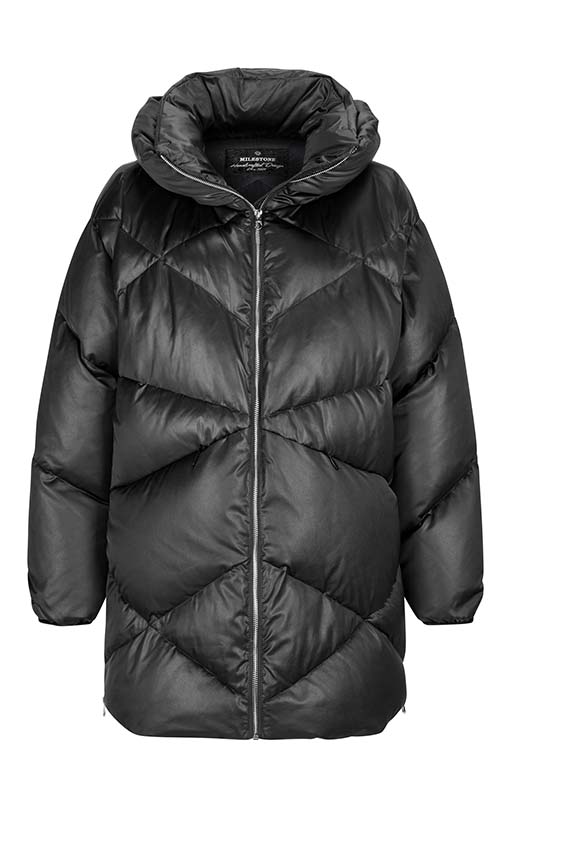 MILESTONE_233_99_33030731440