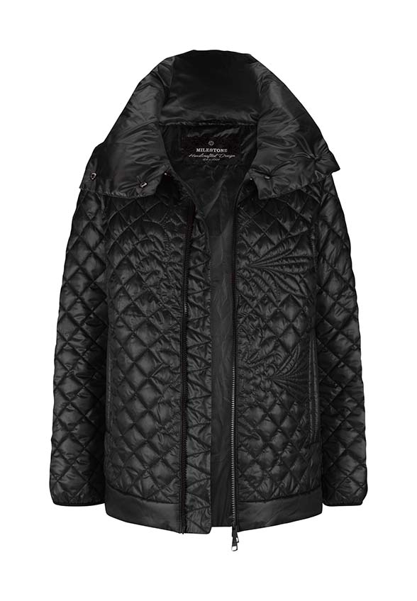 MILESTONE_223_99_23031870070 (2)_1