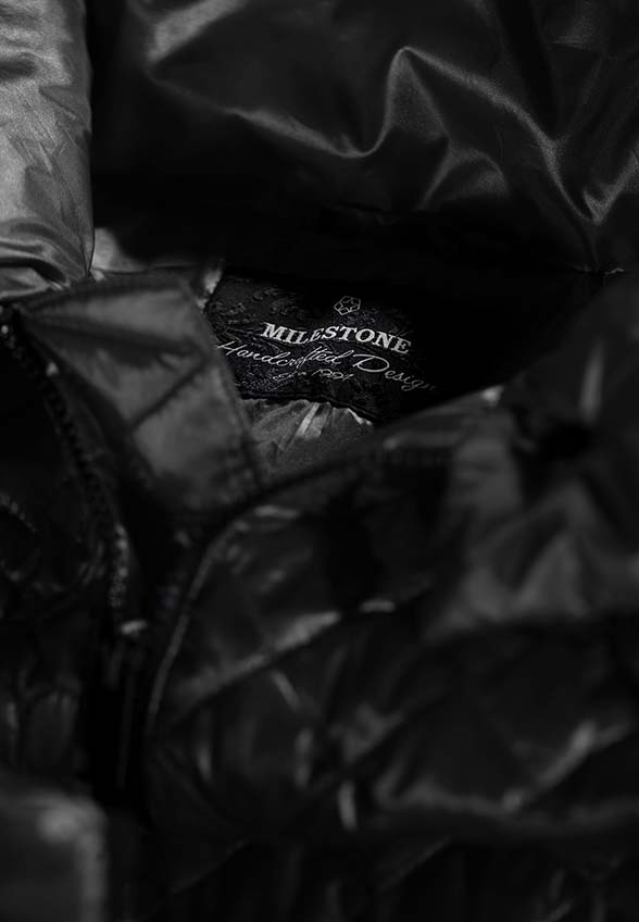 MILESTONE_223_99_23031870070 (4)_1